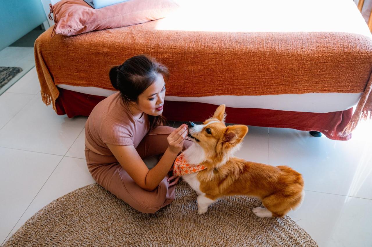 Pelangi 148 Beach Suites Seminyak Dış mekan fotoğraf
